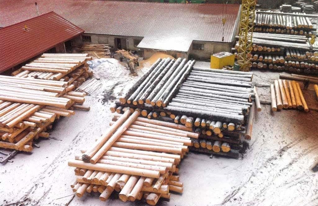 Зимова заготовка деревини в лісі